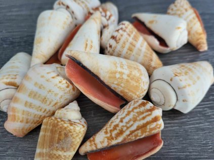 642cc29b d6aa 4eb1 a557 47591cc00caa