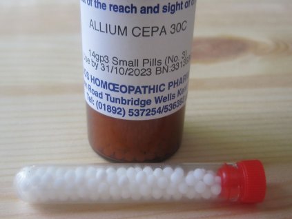 0011849 allium cepa 30