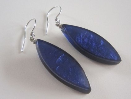 0002983 nausnice listy modre