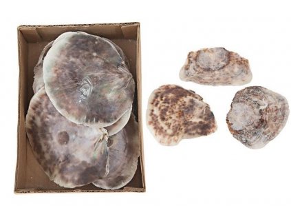 0011208 placuna placenta 430 g