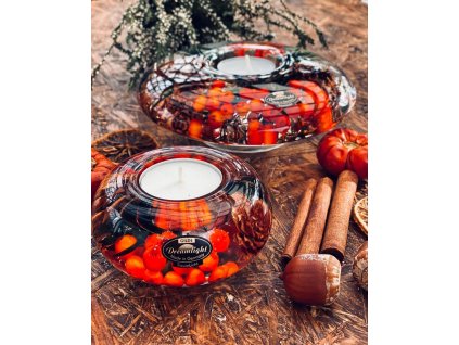 125485226 2778261845823741 5331383383206371697 n