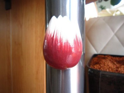 0000279 tulipan magnet bordo bily