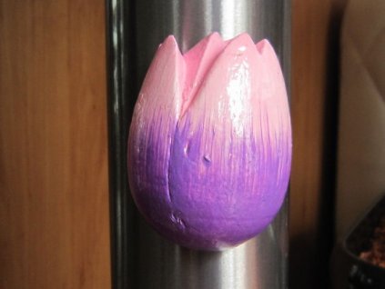0000265 tulipan magnet fialovoruzovy