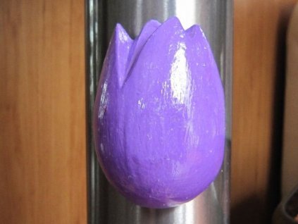 0000271 tulipan magnet fialovy