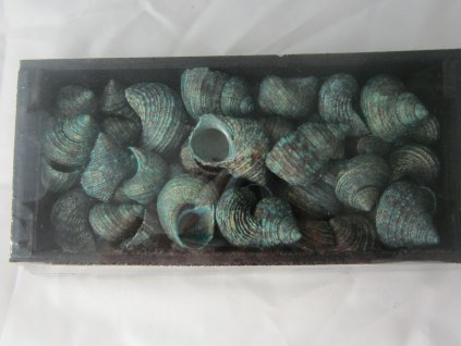 Ulity vzorované zelený nádech v dřevěném boxu