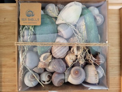 336614681 2098610340332276 5482626584064210020 n