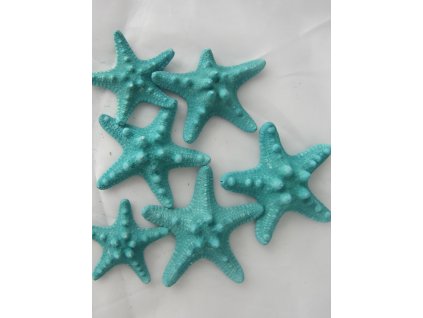 Rhinoceros Starfish - hvězdice mořská 6 ks tyrkysová