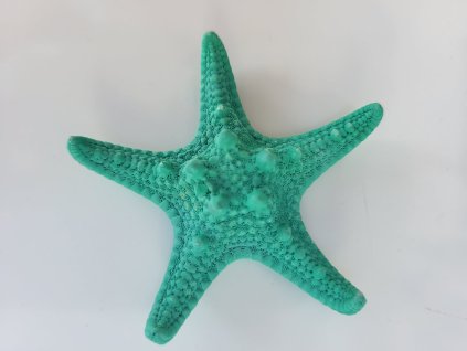 6398269a 495a 4be6 a934 c90d58796ec6