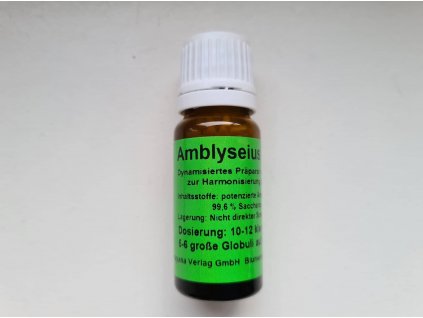 161936181 550438422593528 7147774933288807866 n