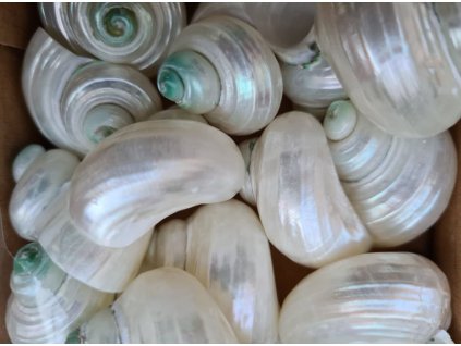 179636609 197609105363890 8316384544420331678 n