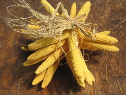 Hvězdice mořská síťka sada žlutá 6 ks