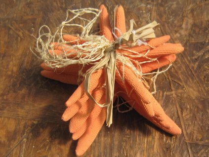 Hvězdice mořská síťka sada oranžová 6 ks