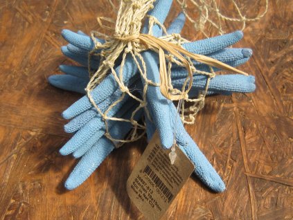 Hvězdice mořská síťka sada blankytně modrá 6 ks