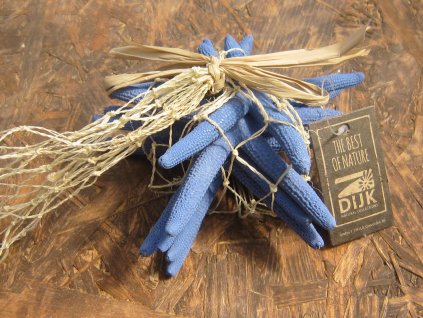 Hvězdice mořská síťka sada modrá 6 ks