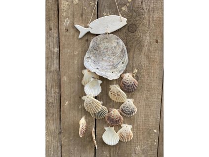 251732444 1589307411427606 5863200757050693464 n