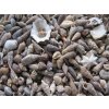 0011221 musle shell mix mini 100 g