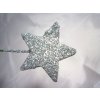 0004070 hvezdicka zapich stribrna