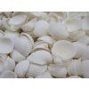 0006797 musle clam rose shell 100 g