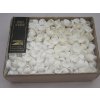 0006799 musle clam rose shell 1000 g
