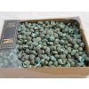 0009987 musle nerita communis 1130 g