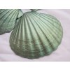 0009979 musle shell green 1 ks