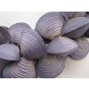 0010040 srdce z musli purple velke