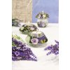 0004438 svicen noblesse smart provence