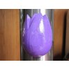 0000271 tulipan magnet fialovy