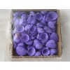 Mušle Clam rose shell 150 g fialová