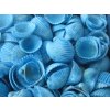 Mušle Clam rose shell 150 g blankytně modrá