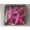 Hvězdice Rhinoceros Starfish - hvězdice mořská 6 ks růžová