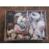 Mušle Shell mix large 920 g