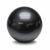 TrainerBall Product1