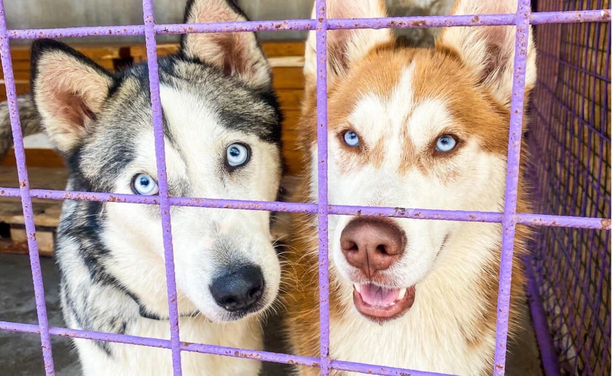 Každá pomoc má obrovský zmysel