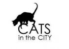 Mačky v meste - Cats in the city