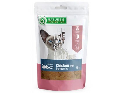 Pamlsok Natures P Snack cat chicken & blueberries 12x75 g