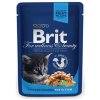 BRIT Premium cat Kapsička Kitten Chicken Chunks 100 g