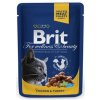 BRIT Premium cat Kapsička Adult Chicken & Turkey 100 g