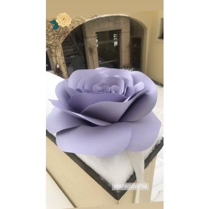 B1BDA228 90AB 490C AE7A AAC20A7C24E6