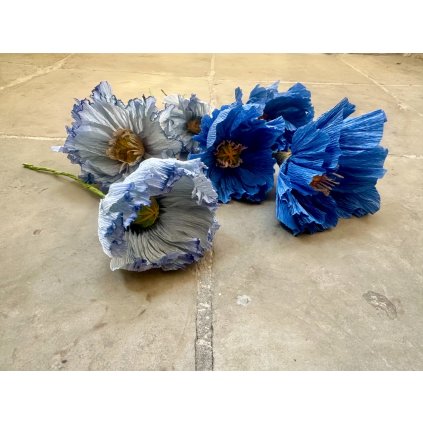 6D49D88D 6786 4A02 9AEB 85D5AB0C5469