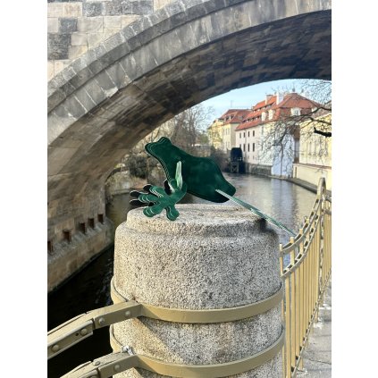 Výsek žába