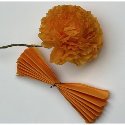 oranzovapompom