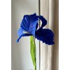 Iris (kosatec) papírová květina