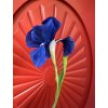 Iris (kosatec) papírová květina