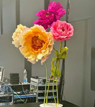 Large oversized standing paper flowers for any event #paperflowers #event #womenbeauty #pompomtimemagic #paperflowerseu