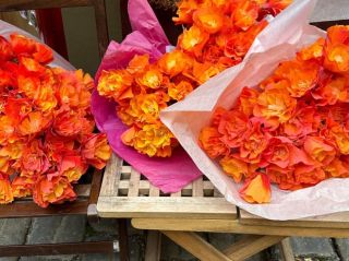 Další oranžové papírové kytičky Je na čase změnit barvu :) #paperflowers #pompomtimeflowers #pompomtimedesigm...