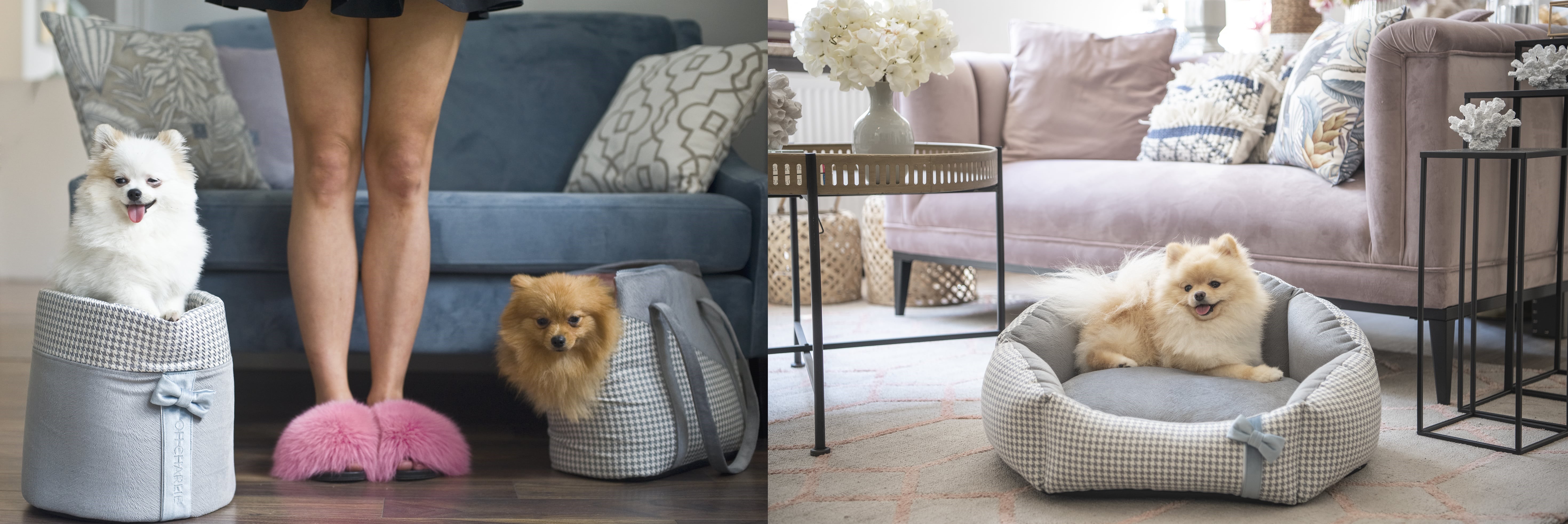 autosedačka a pelíšek černá