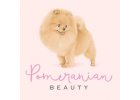 Pomeranian beauty