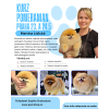 www.pomshop.cz (2)