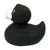 DUCK1